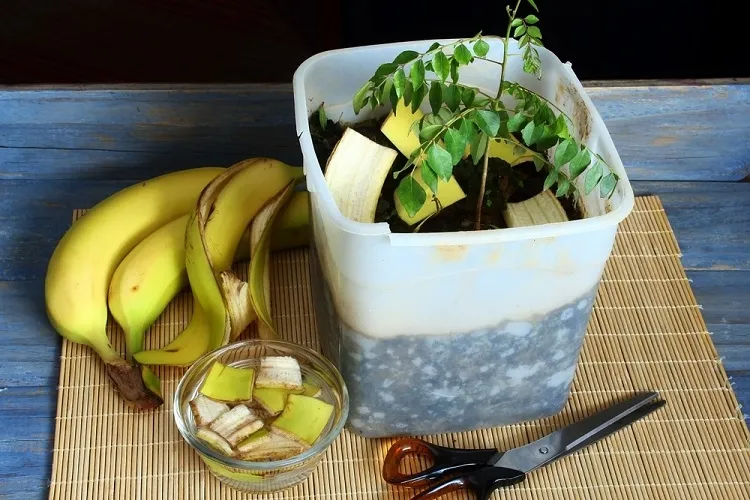tonnerre d'engrais recettes engrais naturels purin ortie pelures banane marc café broyas fumier compost
