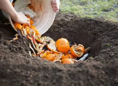 utiliser la peau des oranges dans le jardin
