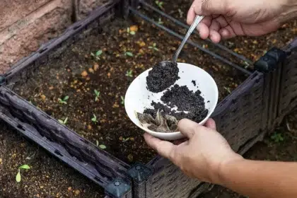 utiliser marc de café dans le compost erreurs moisissure