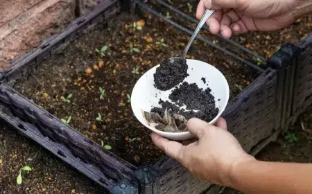 utiliser marc de café dans le compost erreurs moisissure