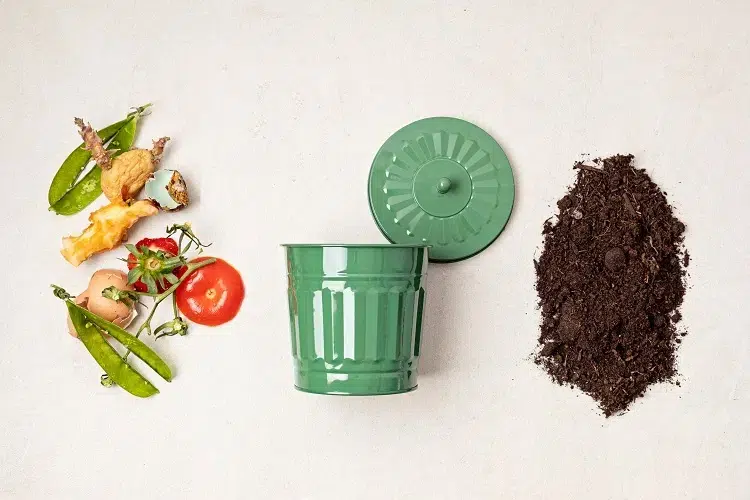 durée moyenne du compostage