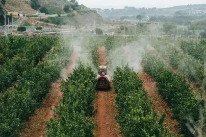 enlever les pesticides dune orange bicarbonate de soude vinagire blanc