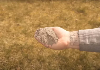 anti mousse naturel efficace comment enlever la mousse avec de la cendre de bois cheminée poêle pelouse gazon