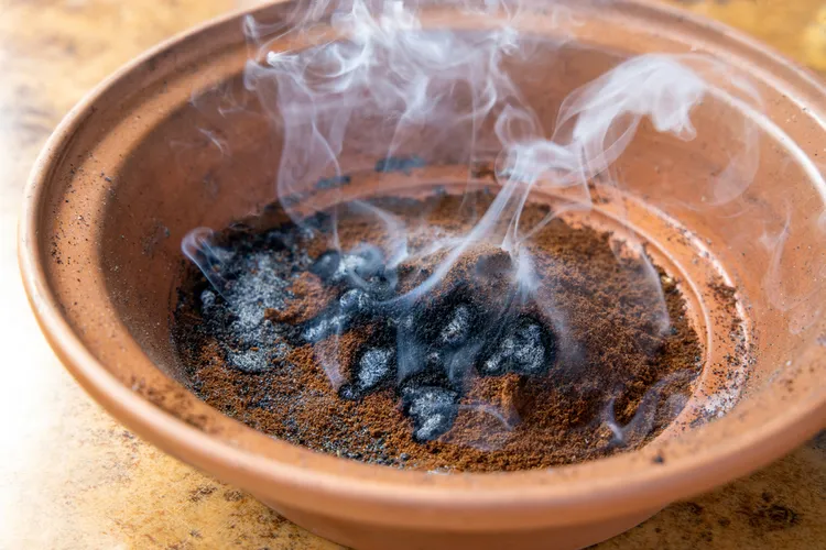 brûler le marc de café pour éloigner les guêpes