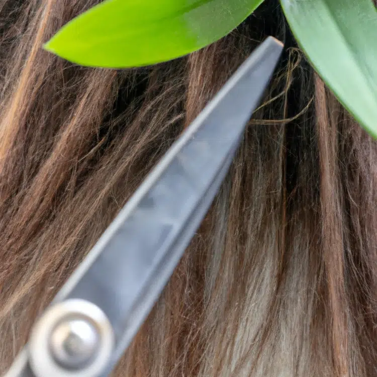 cheveux dans les plantes