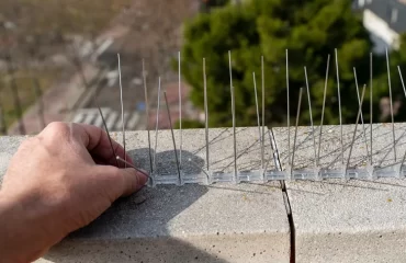 comment éloigner les oiseaux étourneaux du balcon terrasse toit pointes pics anti volatile