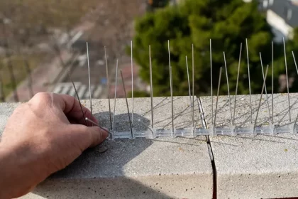 comment éloigner les oiseaux étourneaux du balcon terrasse toit pointes pics anti volatile