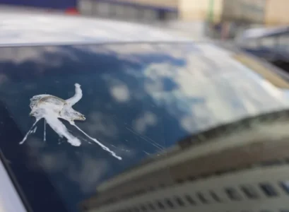 comment enlever les fientes d'oiseaux sur votre voiture
