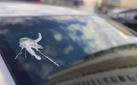 comment enlever les fientes d'oiseaux sur votre voiture