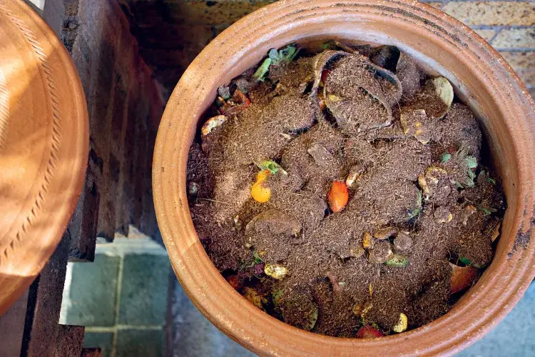 comment fabriquer un composteur cuisine balcon pots en terre cuite tourbe de coco