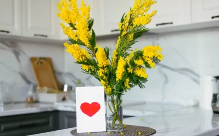 comment faire durer bouquet de mimosa conserver longtemps astuce fleuriste remède grand mère