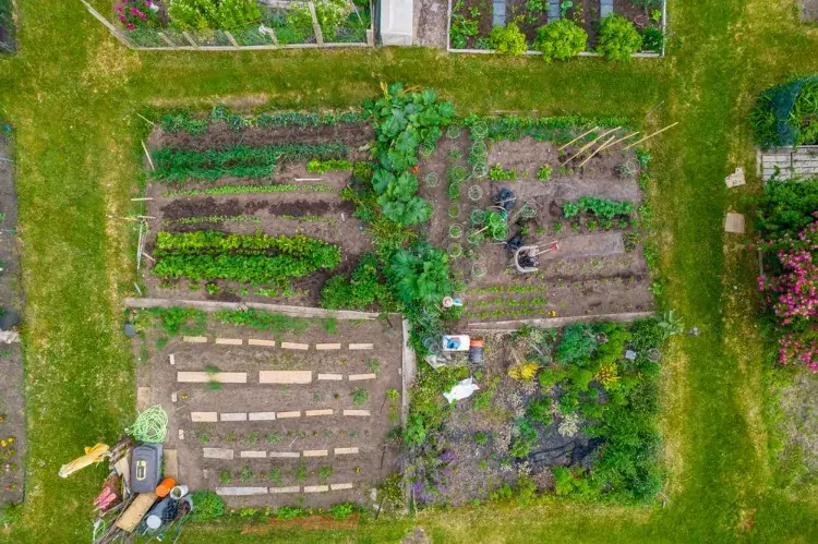 comment faire un jardin permacole quels sont principes directeurs permaculture carrés