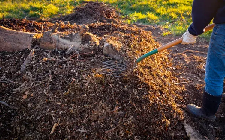 comment faire un jardin permacole quels sont principes directeurs permaculture compost