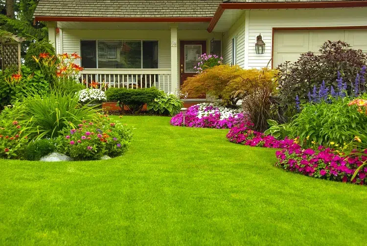 comment faire un massif de fleurs dans une pelouse