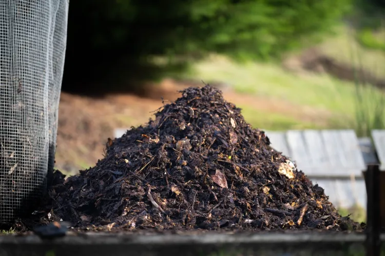 comment peut on séparer les vers du compost récolter méthodes simples