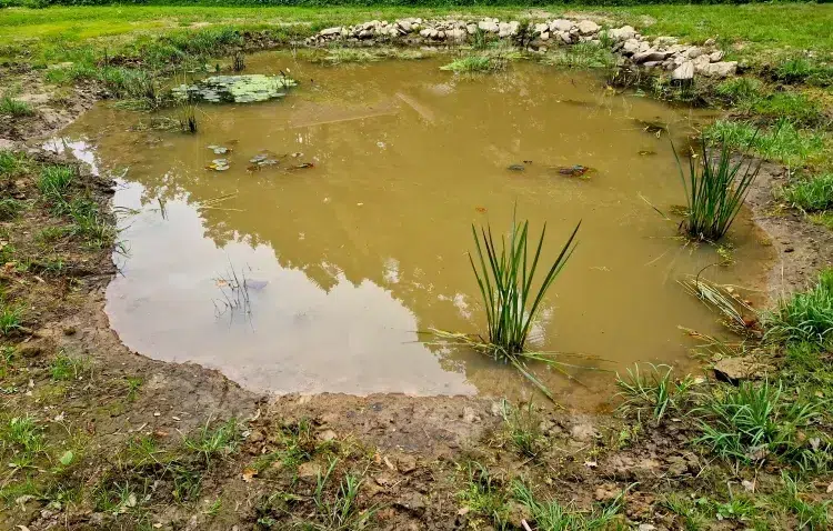 comment recuperer de l'eau sans récupérateur creuser mare fossé jardin couvrir bâche nylon