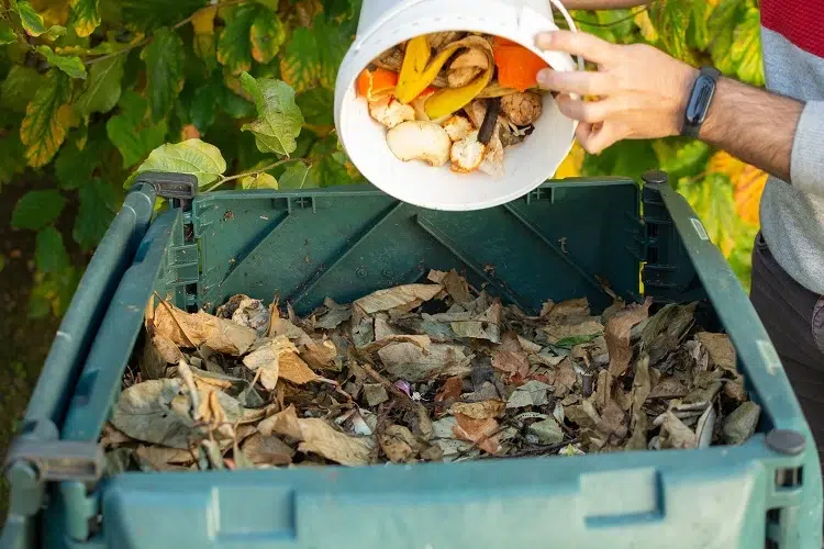 comment savoir si le compost est prêt
