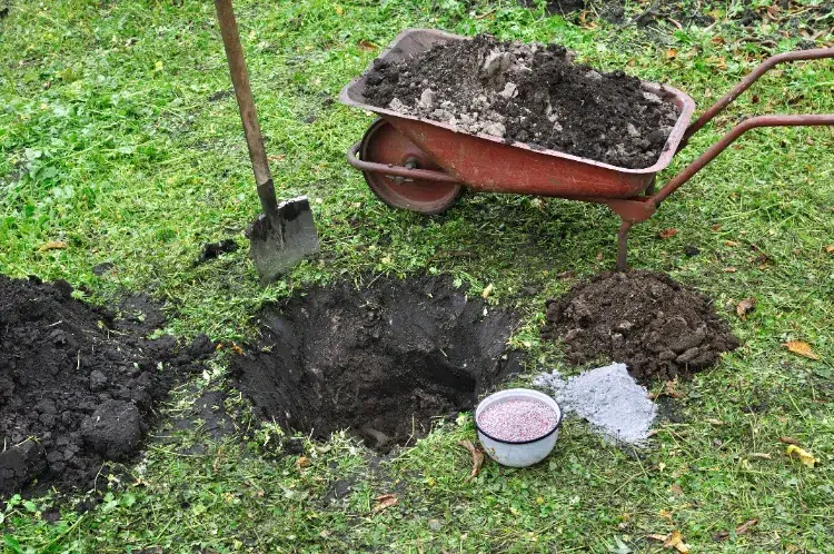 comment stocker un compost dans une fosse jardin pourquoi enterrer methode conservation amendement