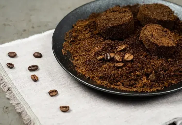 comment utiliser le marc de café à la maison