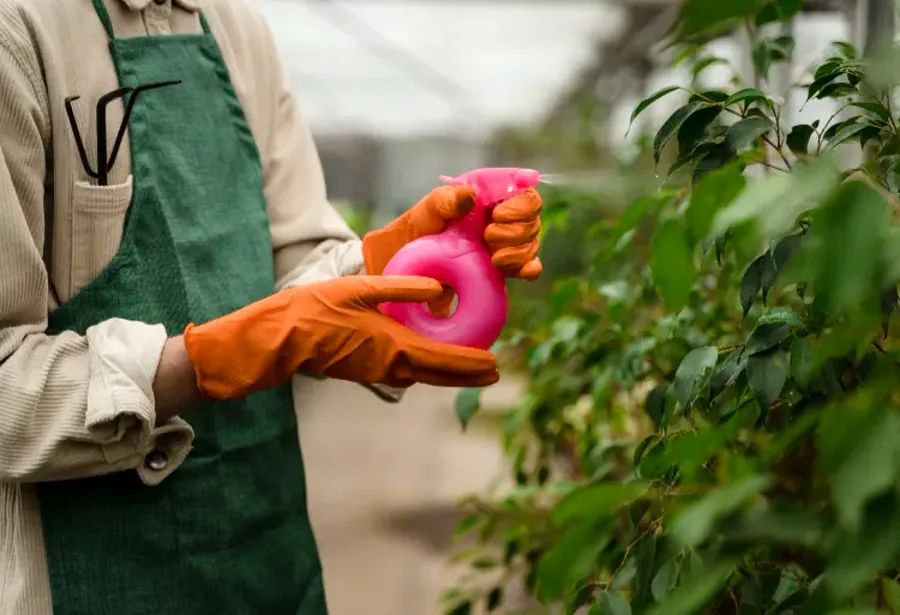 éliminer naturellement les vers blancs