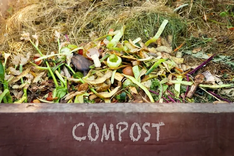 est ce que la paille va au compost avantages inconvénients paille rôle sèche broyée déchiquetée