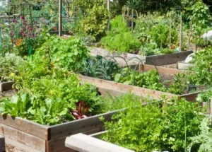 fabriquer bac potager palette espaces supplémentaires possibilité augmenter nombre cultures