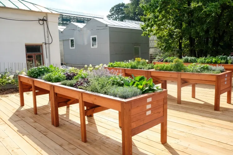 fabriquer bac potager surélevé manque sol meuble friable fertile jardiner être heureux balcon terrasse
