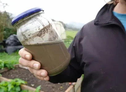 façons d'utiliser les cendres de bois