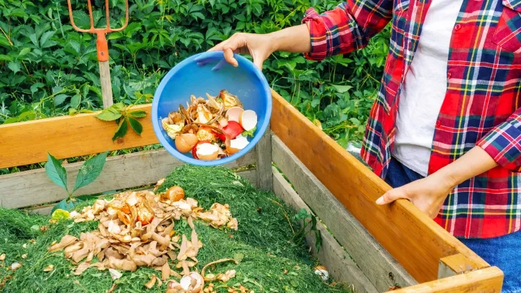 faut il pailler le compost obligatoire composter fertiliser améliorer structure sol besoin pailler