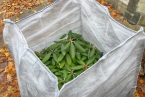 faut il proteger le rhododendron en hiver quand mettre voile hivernage toile jute bâche clôture