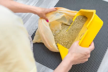 litière pour chat dans le compost