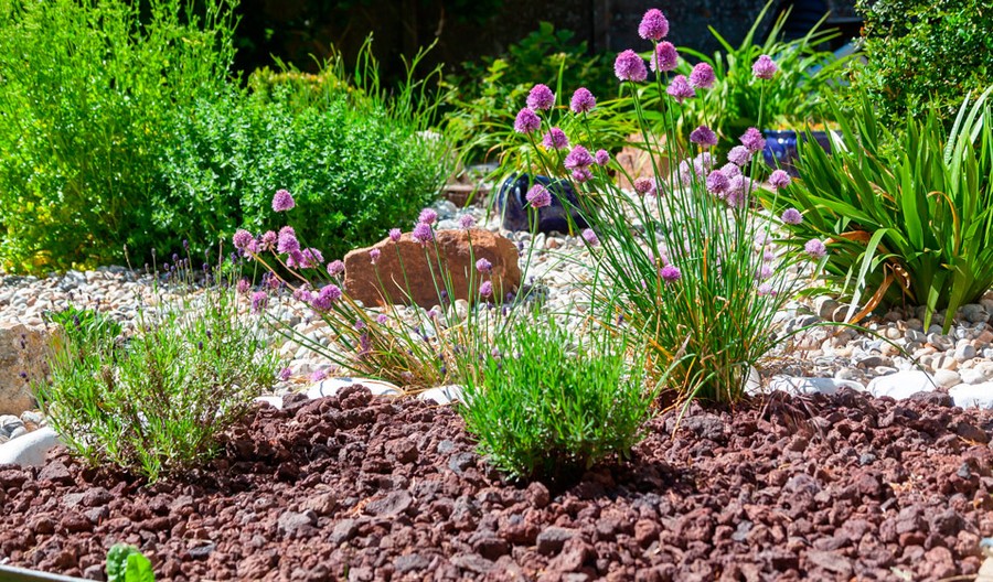 paillage pour un parterre de fleurs avec cailloux