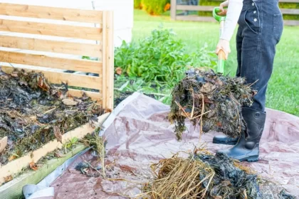 pailler le compost transformer paillis double rôle enrichir protéger compostage surface