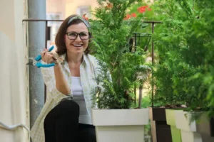 plante brise vue pour jardinière feuillage persistant balcon terrasse