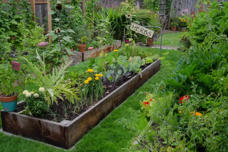 pourquoi pratiquer le jardinage surélevé comment faire un carré sur pied quels sont avantages