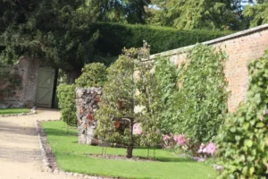 que mettre au pied d'un arbre fruitier