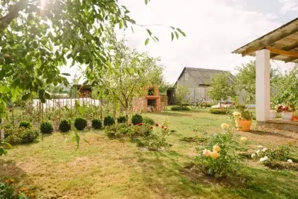 quel légume au pied des arbres fruitiers ciboulette salade artichaut