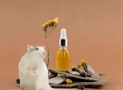 quelle huile essentielle contre les rats