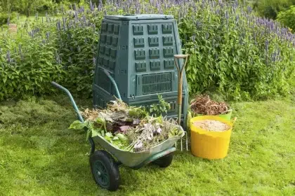 quelles plantes planter autour du compost