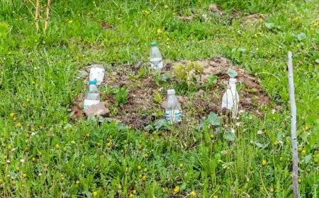 repulsif ultrasons maison faire fuir les rats avec une bouteille en plastique jardin faire sortir souris leur cachette