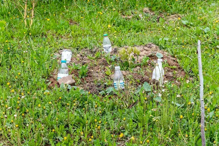 repulsif ultrasons maison faire fuir les rats avec une bouteille en plastique jardin faire sortir souris leur cachette