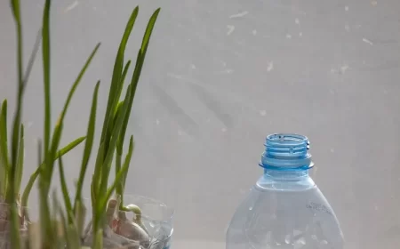 tuto comment faire pousser de l'ail en bouteille en plastique rapidement à la maison