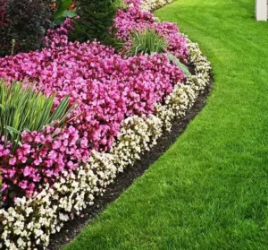 tuto comment faire une bordure de gazon à l'anglaise