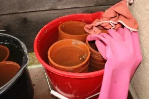 comment enlever les traces blanches sur les pots en terre cuite