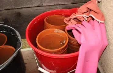 comment enlever les traces blanches sur les pots en terre cuite