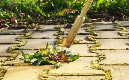 comment faire du roundup maison recette desherbant naturel vinaigre gros sel bicarbonate éliminer mauvaises herbes printemps