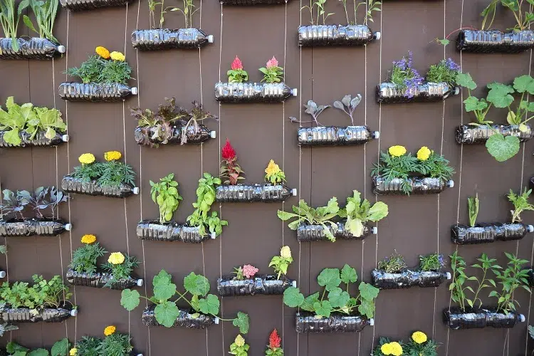 comment faire un jardin vertical avec des bouteilles en plastique astuces tuto video