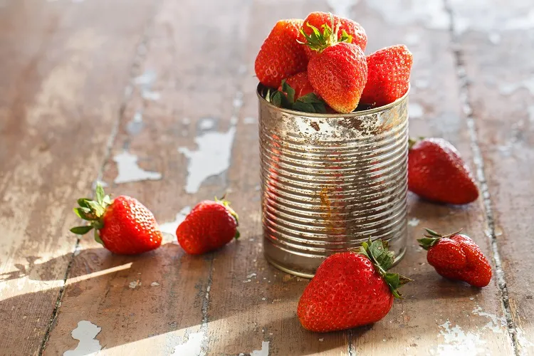 pourquoi cultiver des fraisiers dans des cannes
