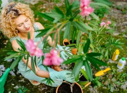 quel est le meilleur engrais pour les lauriers roses