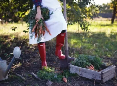 quels légumes ne peuvent pas pousser sous un arbre